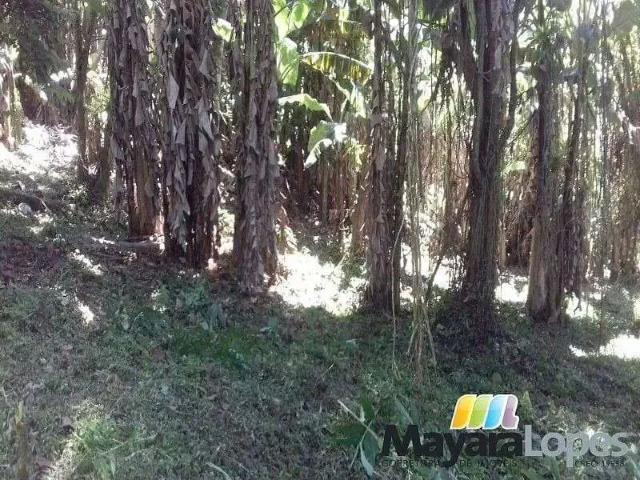 Terreno / Lote para Venda em São Francisco do Sul/SC Rocio Pequeno