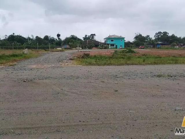 Terreno / Lote para Venda em São Francisco do Sul/SC São José do Acaraí