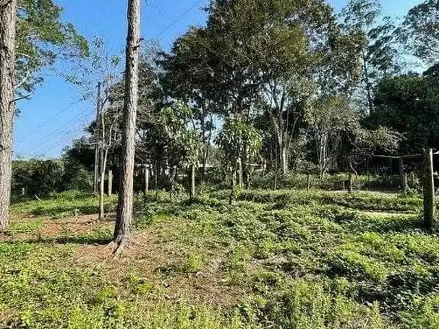 Terreno / Lote para Venda em São Francisco do Sul/SC São José do Acaraí