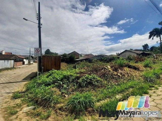 Terreno / Lote para Venda em São Francisco do Sul/SC São José do Acaraí