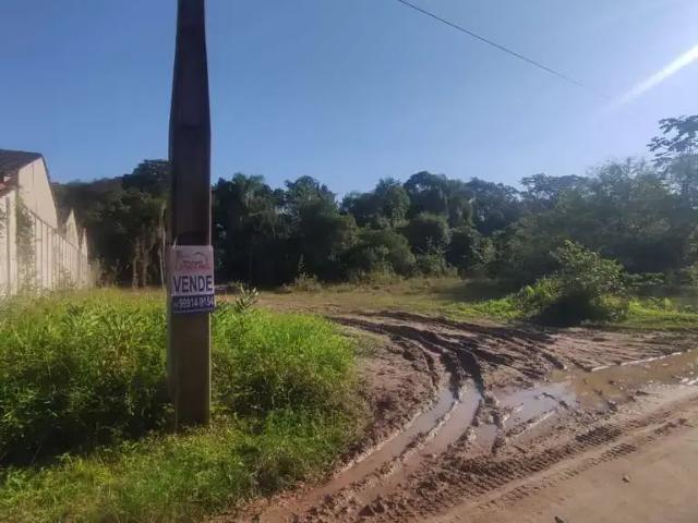 Terreno / Lote para Venda em São Francisco do Sul/SC Sai Mirim