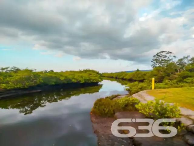Terreno / Lote para Venda em São Francisco do Sul/SC Ubatuba