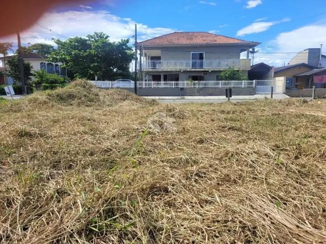 Terreno / Lote para Venda em São Francisco do Sul/SC Ubatuba