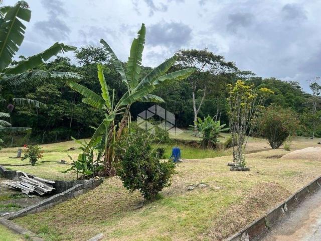 Terreno / Lote para Venda em São Francisco do Sul/SC Ubatuba