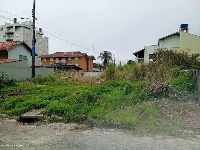 Terreno / Lote para Venda em São Francisco do Sul/SC Ubatuba