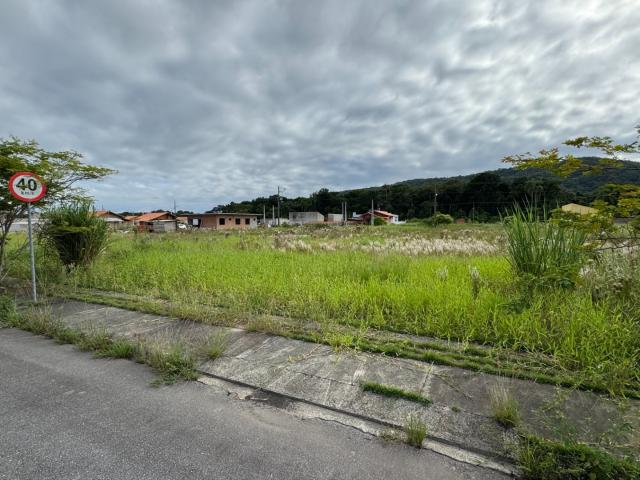 Terreno / Lote para Venda em São Francisco do Sul/SC Ubatuba