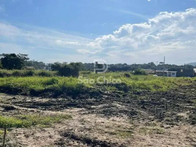 Terreno / Lote para Venda em São Francisco do Sul/SC Ubatuba