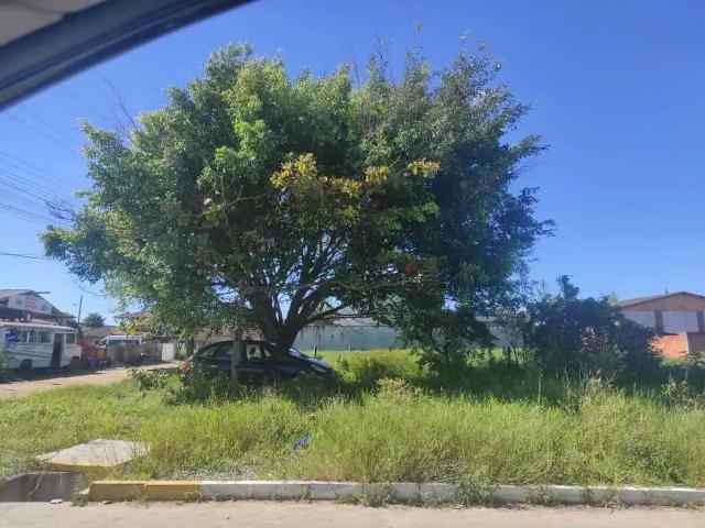 Terreno / Lote para Venda em São Francisco do Sul/SC Ubatuba