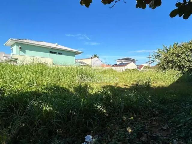 Terreno / Lote para Venda em São Francisco do Sul/SC Ubatuba
