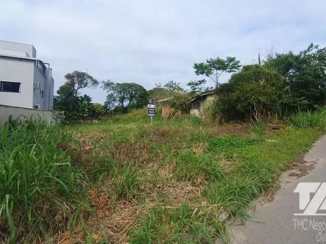 Terreno / Lote para Venda em São Francisco do Sul/SC Ubatuba