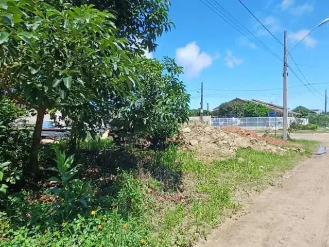 Terreno / Lote para Venda em São Francisco do Sul/SC Ubatuba