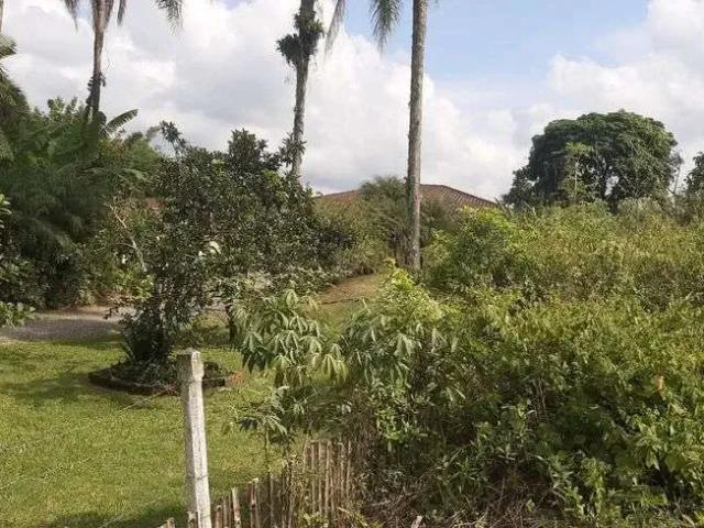 Terreno / Lote para Venda em São Francisco do Sul/SC Vila da Glória
