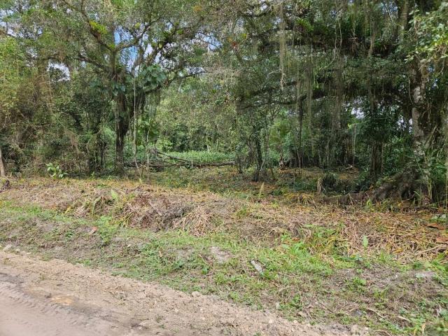 Terreno / Lote para Venda em São Francisco do Sul/SC Vila da Glória