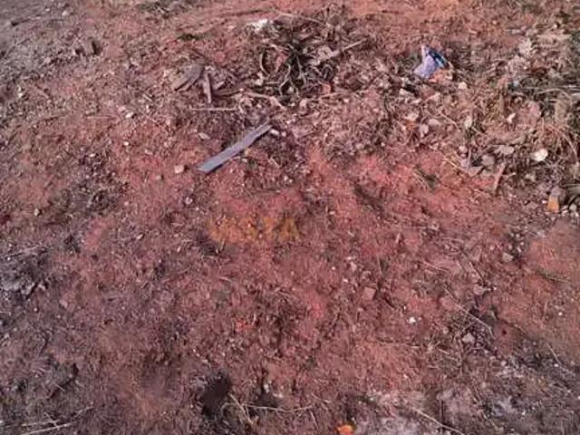 Terreno / Lote para Venda em São João da Boa Vista/SP Jardim Aurora