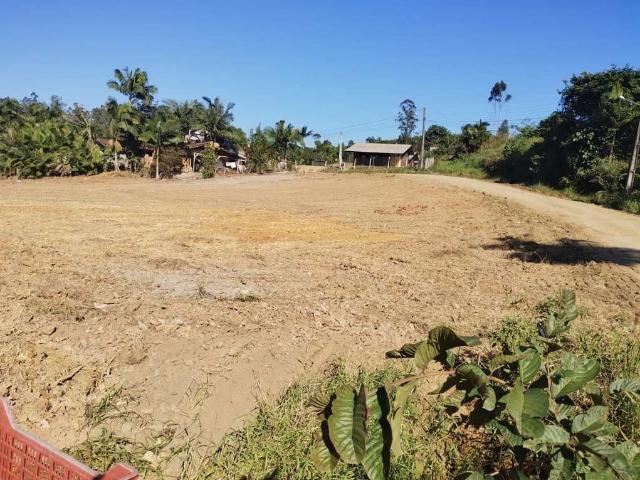Terreno / Lote para Venda em São João do Itaperiú/SC Centro
