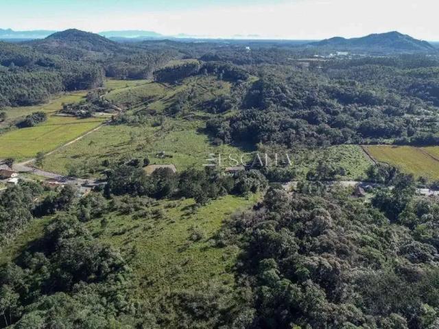 Terreno / Lote para Venda em São João do Itaperiú/SC Centro
