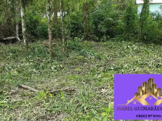 Terreno / Lote para Venda em São João do Itaperiú/SC Santa Cruz