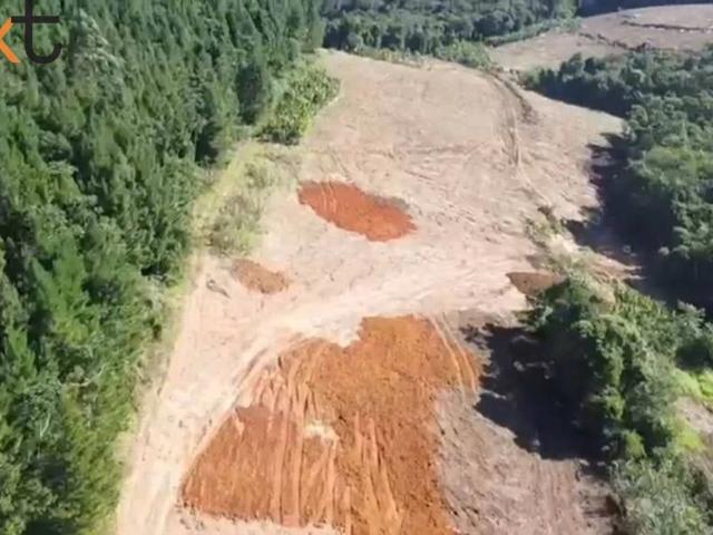 Terreno / Lote para Venda em São João do Itaperiú/SC Santa Cruz