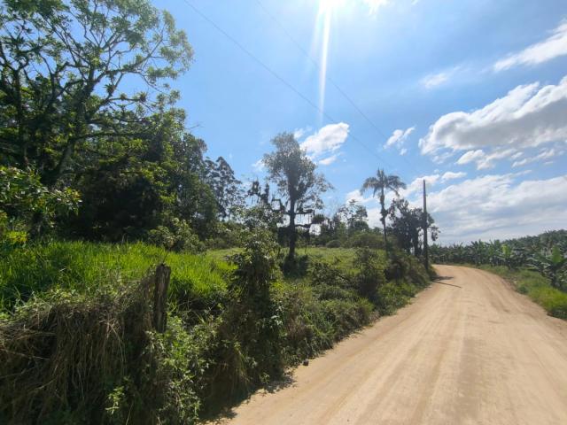 Terreno / Lote para Venda em São João do Itaperiú/SC Zona Rural