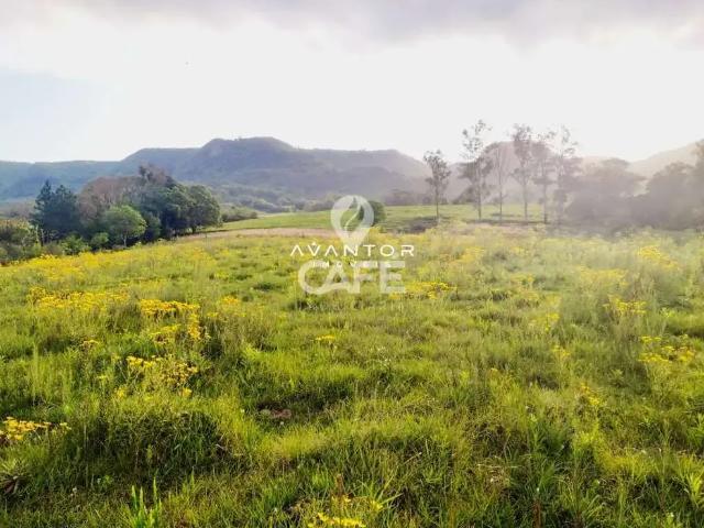 Terreno / Lote para Venda em São João do Polesine/RS Zona Rural