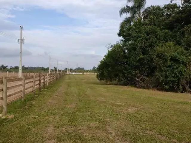 Terreno / Lote para Venda em São João do Sul/SC Centro