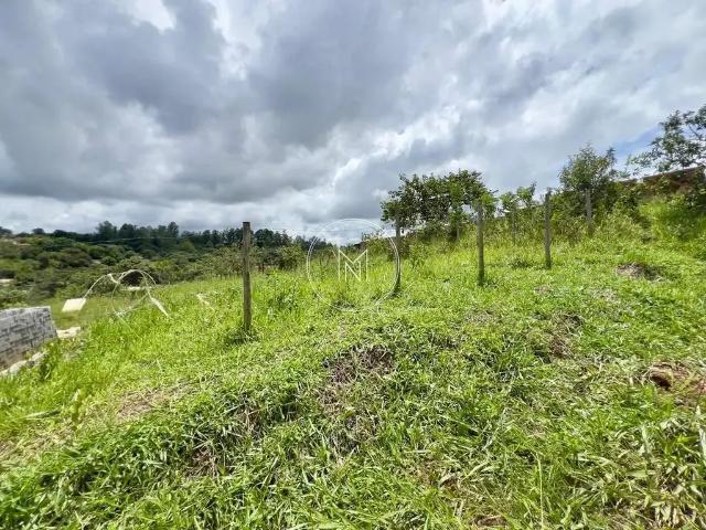 Terreno / Lote para Venda em São Joaquim de Bicas/MG Alvorada Industrial