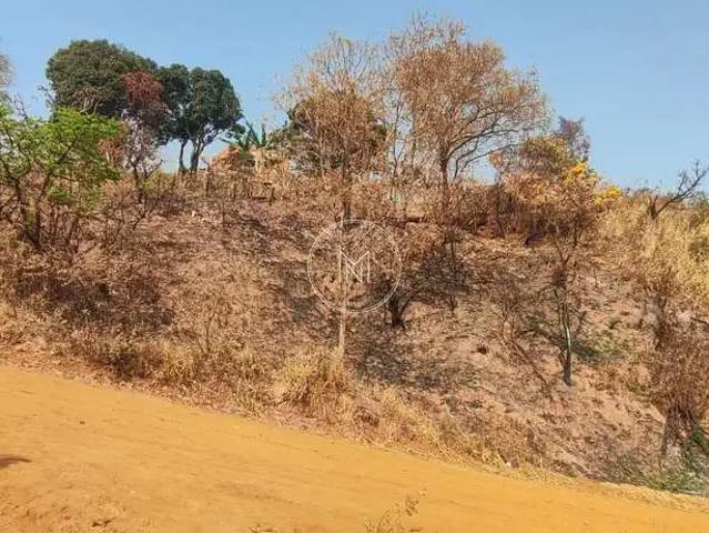 Terreno / Lote para Venda em São Joaquim de Bicas/MG Belo Vale