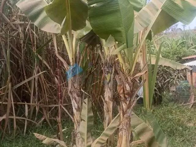 Terreno / Lote para Venda em São Joaquim de Bicas/MG Estância Serra Verde