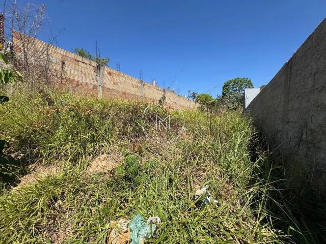 Terreno / Lote para Venda em São Joaquim de Bicas/MG Pedra Branca