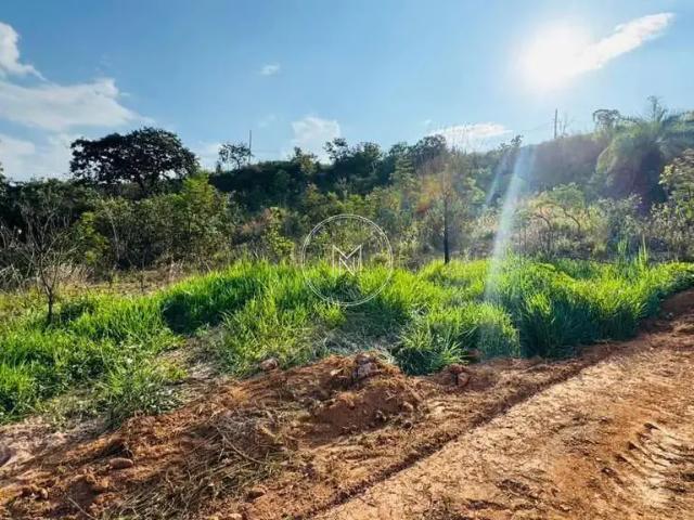 Terreno / Lote para Venda em São Joaquim de Bicas/MG Pedra Branca
