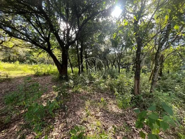 Terreno / Lote para Venda em São Joaquim de Bicas/MG Recreio do Lago