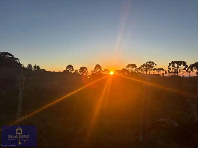 Terreno / Lote para Venda em São Joaquim/SC Pericó