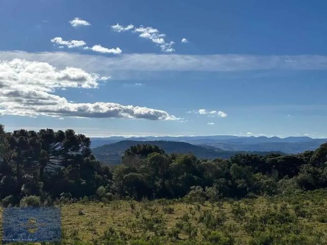 Terreno / Lote para Venda em São Joaquim/SC Pericó