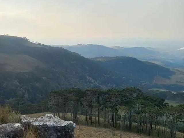 Terreno / Lote para Venda em São Joaquim/SC Zona Rural