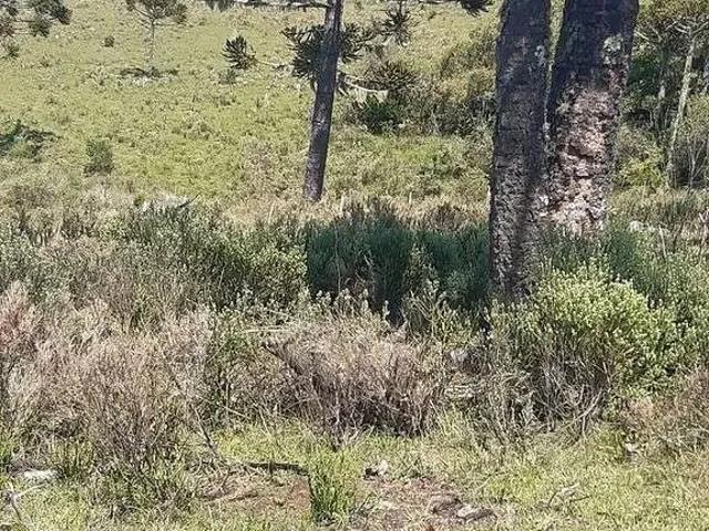 Terreno / Lote para Venda em São Joaquim/SC Zona Rural