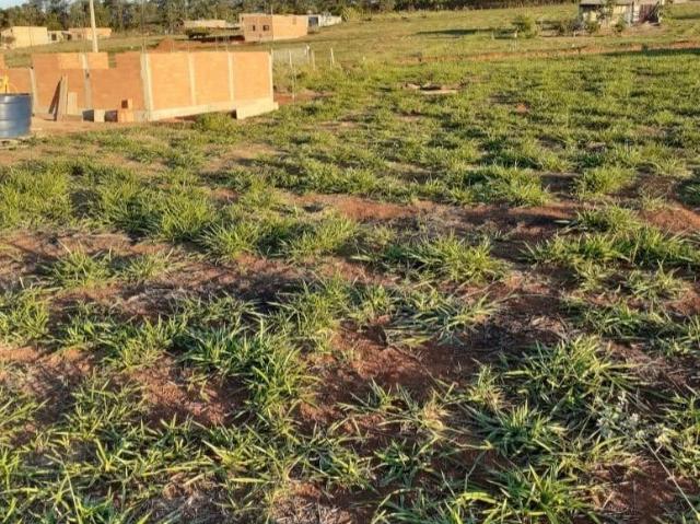 Terreno / Lote para Venda em São José da Barra/MG Centro