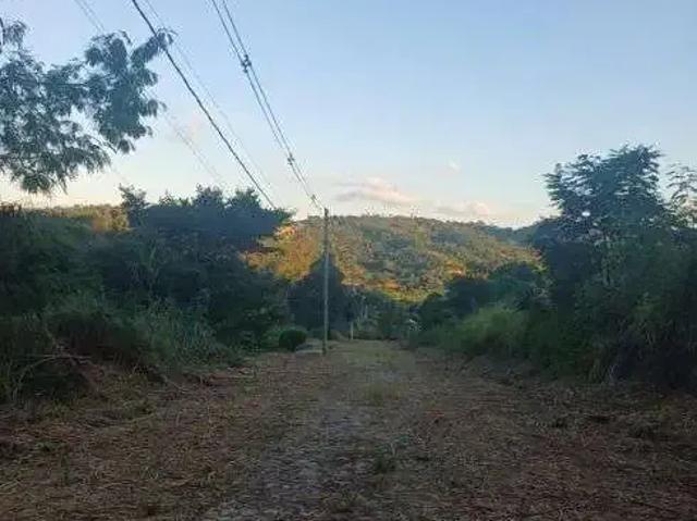 Terreno / Lote para Venda em São José da Lapa/MG Centro