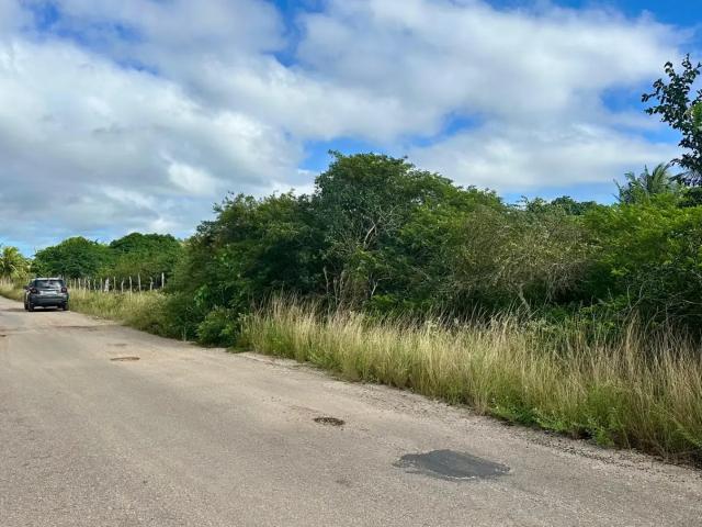 Terreno / Lote para Venda em São José de Mipibu/RN Taborda