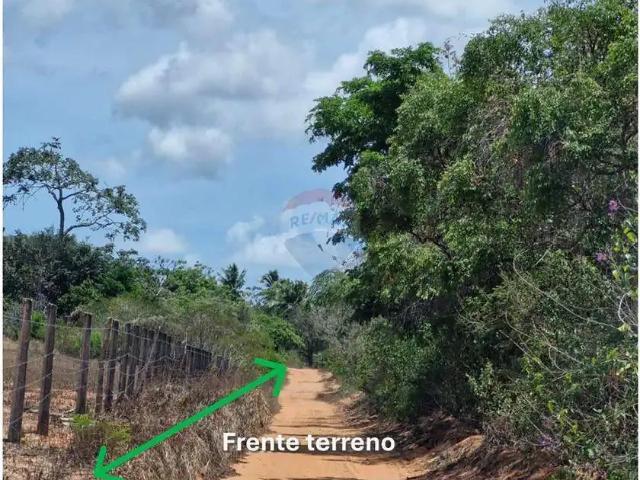 Terreno / Lote para Venda em São José de Mipibu/RN Taborda
