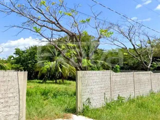Terreno / Lote para Venda em São José de Ribamar/MA Araçagy