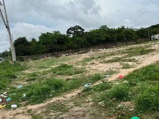 Terreno / Lote para Venda em São José de Ribamar/MA Piçarreira