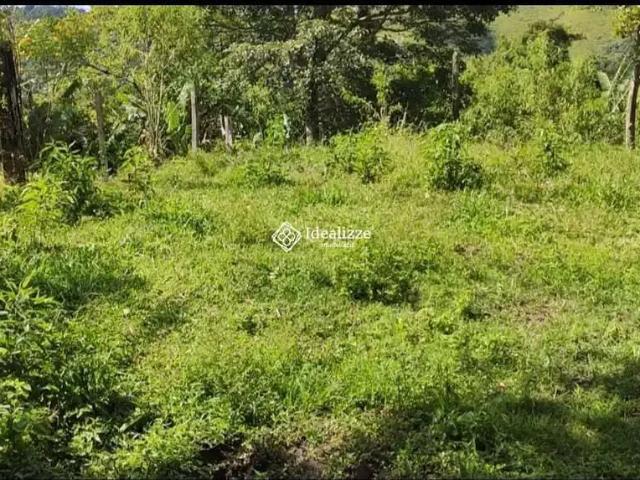 Terreno / Lote para Venda em São José do Barreiro/SP Zona Rural