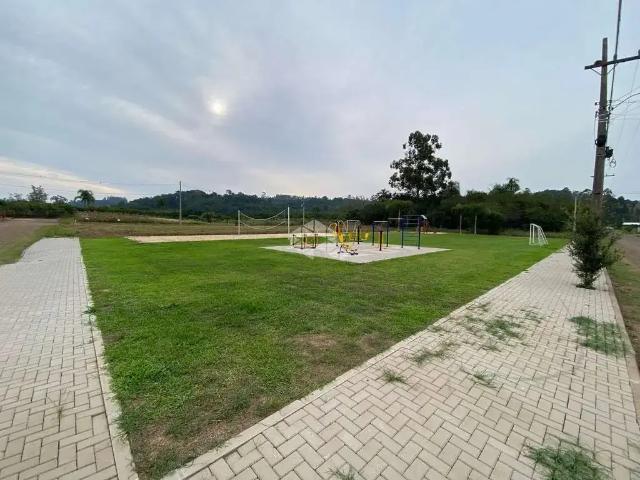 Terreno / Lote para Venda em São José do Hortêncio/RS Campestre