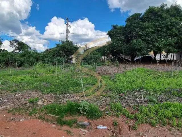 Terreno / Lote para Venda em São José do Rio Pardo/SP Vila Formosa