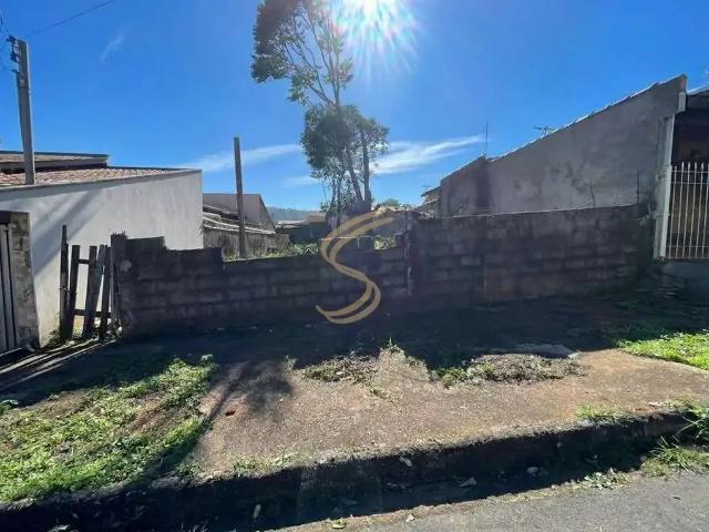 Terreno / Lote para Venda em São José do Rio Pardo/SP Vila Formosa