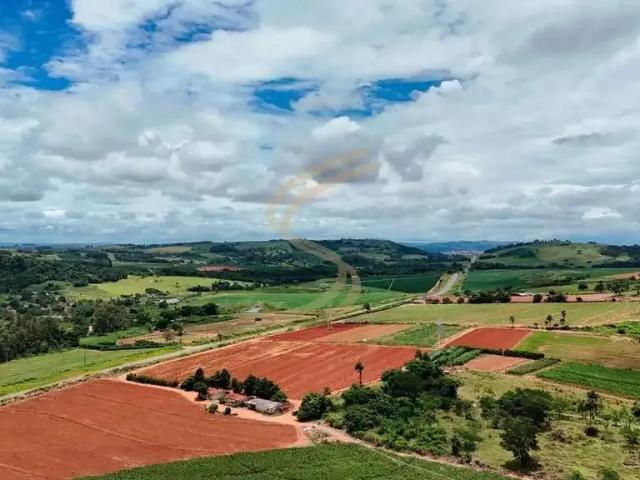 Terreno / Lote para Venda em São José do Rio Pardo/SP Zona Rural