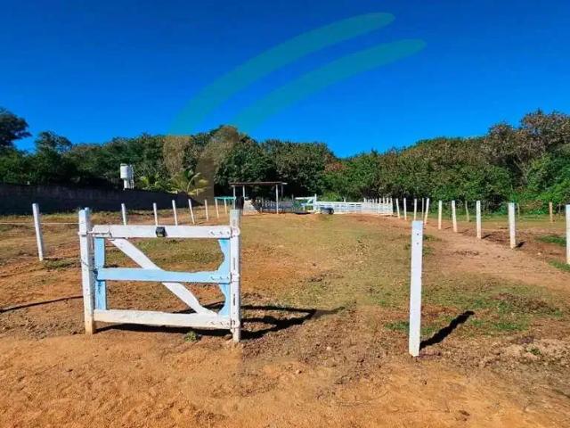 Terreno / Lote para Venda em São José do Rio Pardo/SP Buenos Aires