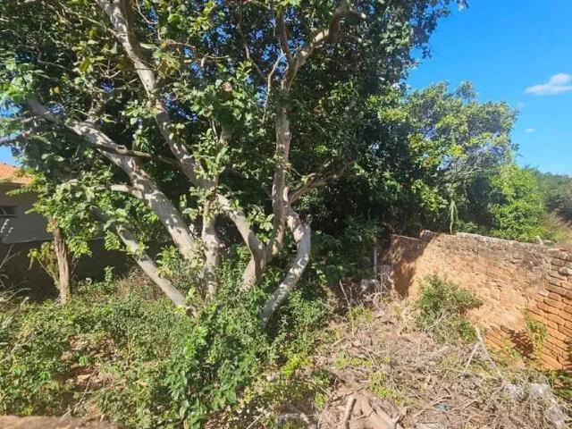 Terreno / Lote para Venda em São José do Rio Pardo/SP Centro