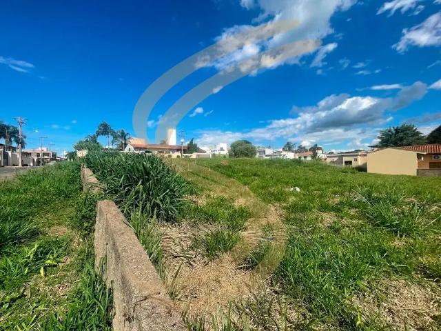 Terreno / Lote para Venda em São José do Rio Pardo/SP Jardim Santa Tereza