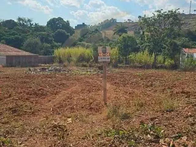 Terreno / Lote para Venda em São José do Rio Pardo/SP Parque Beira Rio